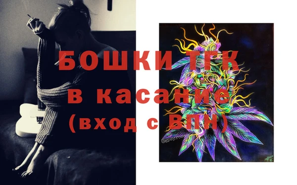 ECSTASY Заводоуковск